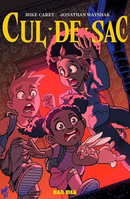 CUL DE SAC #1 CVR B TONY FLEECS CURSED MIRROR VAR (RELEASE: 8/6/25)
