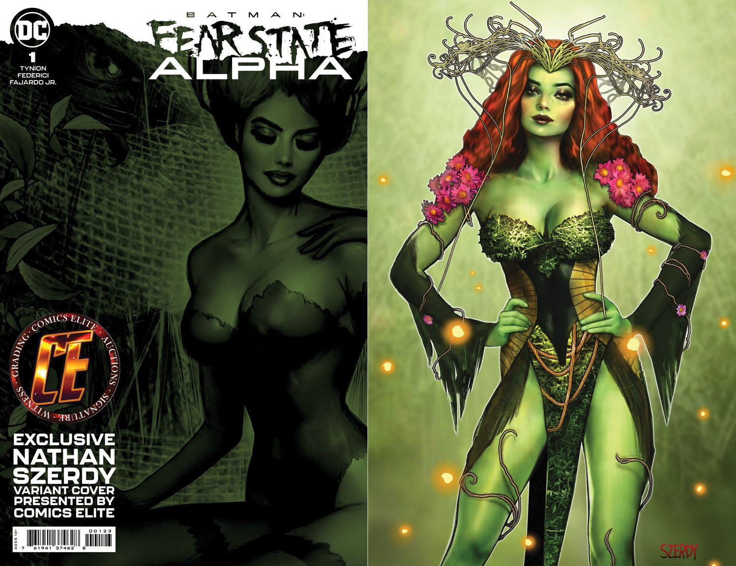 FEAR STATE ALPHA - SZERDY COVER A LTD 3000